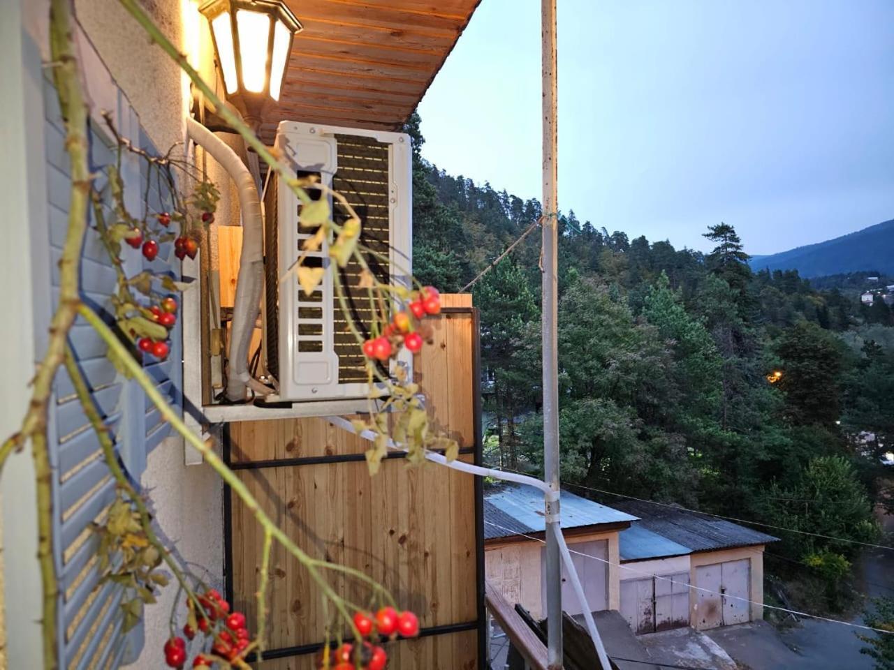 Guest House Likani 2017 Borjomi Δωμάτιο φωτογραφία