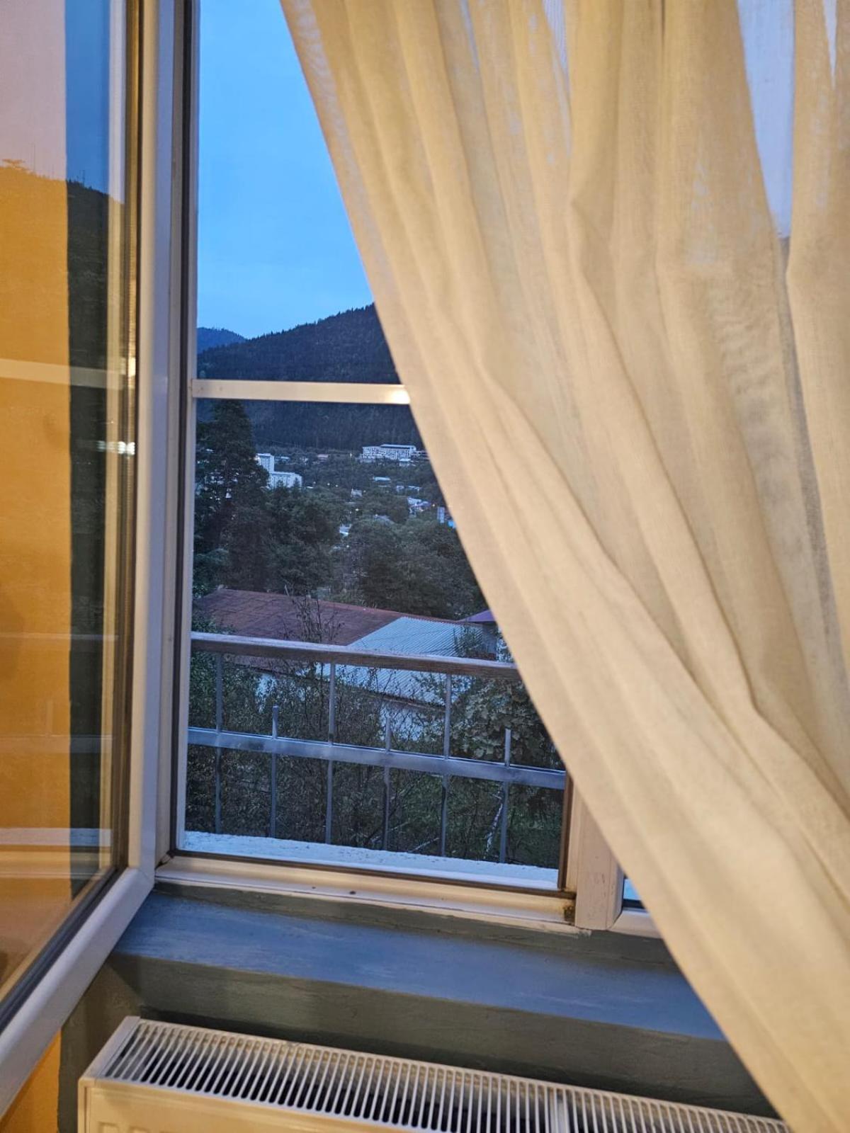 Guest House Likani 2017 Borjomi Δωμάτιο φωτογραφία