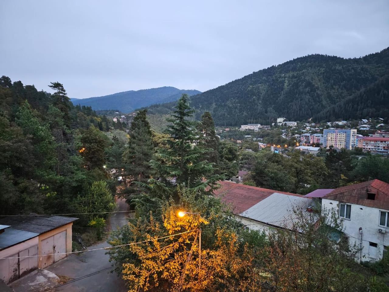 Guest House Likani 2017 Borjomi Δωμάτιο φωτογραφία