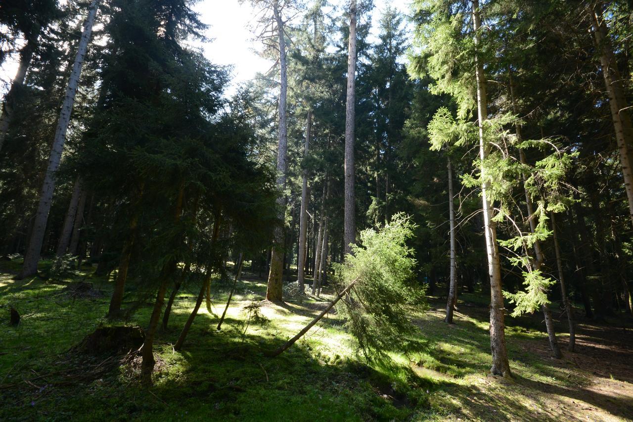 Guest House Likani 2017 Borjomi Εξωτερικό φωτογραφία
