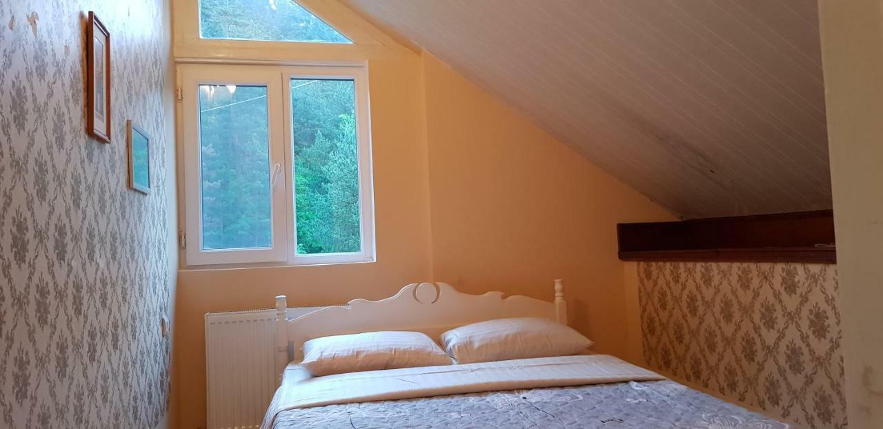 Guest House Likani 2017 Borjomi Εξωτερικό φωτογραφία